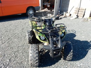 Квадроцикл IRBIS ATV 110U во Пскове
